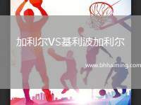 加利爾VS基利波加利爾