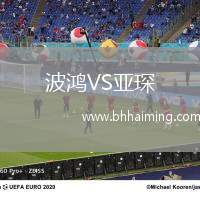 波鴻VS亞琛