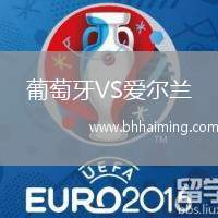 葡萄牙VS愛(ài)爾蘭