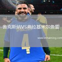 舍克斯納VS弗拉基米爾魚(yú)雷