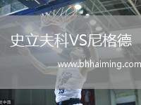 史立夫科VS尼格德