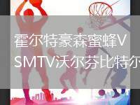 霍爾特豪森蜜蜂VSMTV沃爾芬比特爾