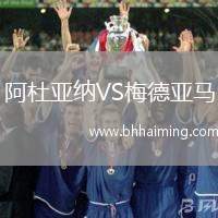 阿杜亞納VS梅德亞馬