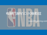 布赫巴赫VSDJK維勒茲