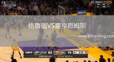 格魯瑙VS霍亨恩姆斯