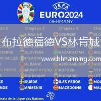 布拉德福德VS林肯城