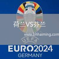 荷蘭VS芬蘭