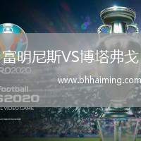 富明尼斯VS博塔弗戈