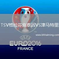 TSV格拉芬施泰因VS津馬特里