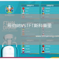 希伯納VSTFT斯科普里