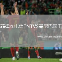 菲律賓電信TNTVS基尼巴國王