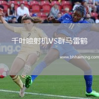 千葉噴射機(jī)VS群馬雷鶴