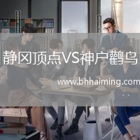 靜岡頂點VS神戶鸛鳥