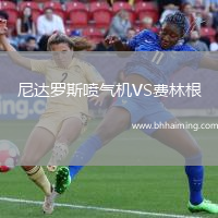 尼達(dá)羅斯噴氣機(jī)VS費(fèi)林根