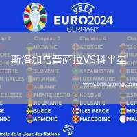 斯洛加烏普薩拉VS科平星