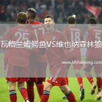 瓦格蘭姆鱷魚VS維也納森林狼