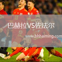 巴赫拉VS佐法爾