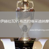 伊赫拉瓦VS布杰約維采迪納摩