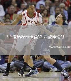 SG迪納摩舒維茵VS西登博倫汀