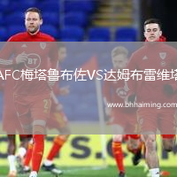 AFC梅塔魯布佐VS達(dá)姆布雷維塔