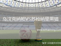 烏汶克納帕VS蘇拉納里黑貓