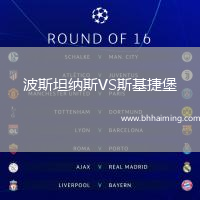 波斯坦納斯VS斯基捷堡