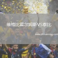 維格比霍爾姆斯VS泰比