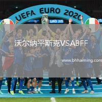 沃爾納平斯克VSABFF(U19)