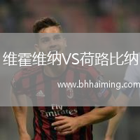 維霍維納VS荷路比納