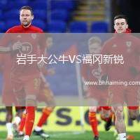 巖手大公牛VS福岡新銳