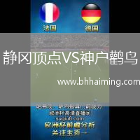 靜岡頂點VS神戶鸛鳥