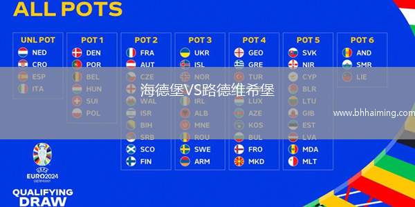 海德堡VS路德維希堡
