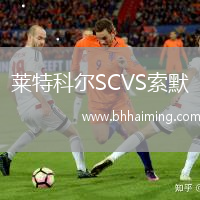 萊特科爾SCVS索默