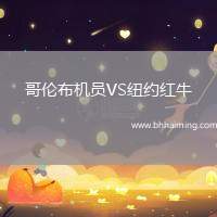 哥倫布機員VS紐約紅牛