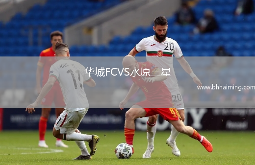 華城FCVS水原三星