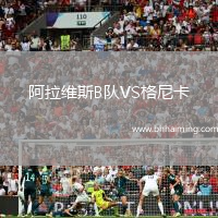 阿拉維斯B隊VS格尼卡