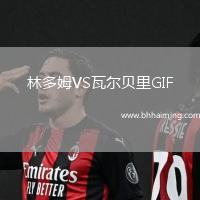 林多姆VS瓦爾貝里GIF