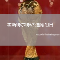 霍斯特爾特VS迪德朗日