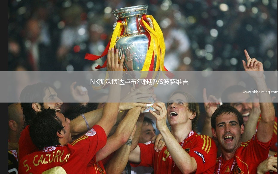 NK斯沃博達盧布爾雅那VS波薩維吉