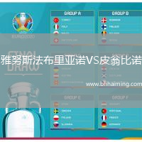 雅努斯法布里亞諾VS皮翁比諾