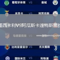 墨西卡利VS阿瓜斯卡連特斯黑豹