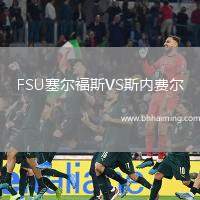 FSU塞爾福斯VS斯內(nèi)費(fèi)爾
