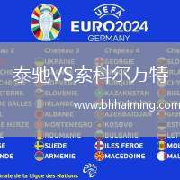 泰馳VS索科爾萬特