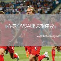 喬爾盧VSABB艾格體育