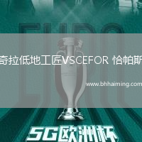 奇拉低地工匠VSCEFOR 恰帕斯