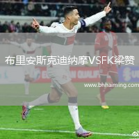 布里安斯克迪納摩VSFK梁贊