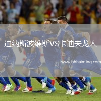 迪納斯波維斯VS卡迪夫龍人