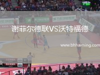 謝菲爾德聯(lián)VS沃特福德