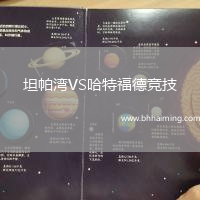 坦帕灣VS哈特福德競技