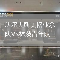沃爾夫斯貝格業(yè)余隊VS林茨青年隊